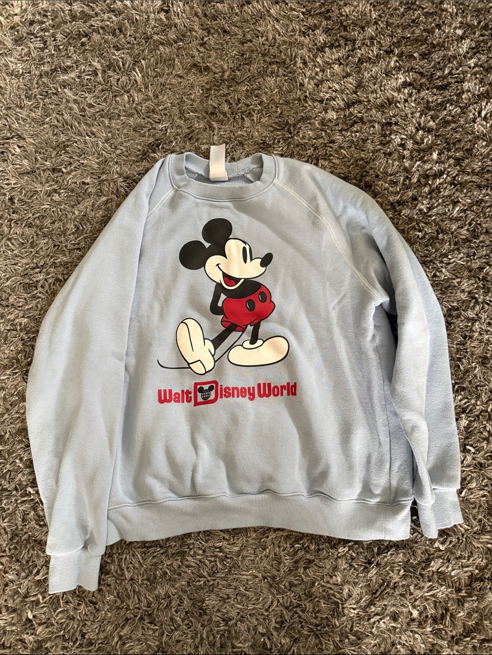 Disney Parks Light Blue Mickey Mouse Walt Disney World Sweatshirt